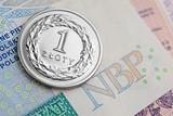 Fototapeta  - Polish Zloty -new banknotes