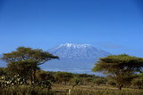 Fototapeta Sawanna - Snow on top of Mount Kilimanjaro in Amboseli