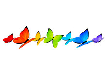 Rainbow Butterflies Border For Your Design