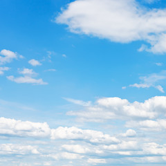 Wall Mural - blue sky with white fluffy clouds