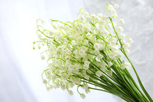 Beautiful Lilies Of The Valley On Cloth Background