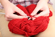 © Africa Studio - Female hands knitting with spokes close up