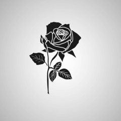 Wall Mural - rose symbols, decorative vector illustration