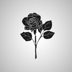 Wall Mural - rose symbols, decorative vector illustration