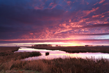 Wall Mural - dramatic fire sunrise over river