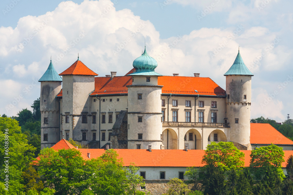 View of Nowy Wisnicz castle, Poland - obrazy, fototapety, plakaty 