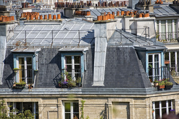 Wall Mural - paris roofs and cityview