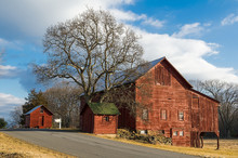 Old Red Barns And Tree On Country Road.