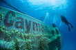 Cayman Shipwreck