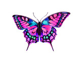 Fototapeta Motyle - butterfly,watercolor design