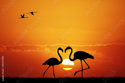 Plakat na papierze fotorealistycznym Różowe flamingi o zachodzie słońca
