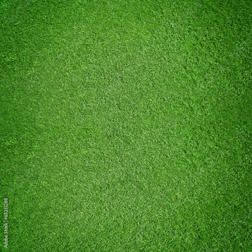 Rasen-Hintergrund – kaufen Sie dieses Foto und finden Sie ähnliche