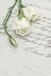 antique handwritten love letter and flowers