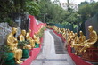 10.000 Buddhas in Hong Kong