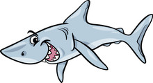 Shark Animal Cartoon Illustration