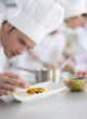© jackfrog - closeup on chef garnishing a plate