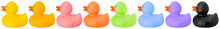 Toy Rubber Colored Ducks Isolated On White Right Side