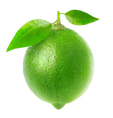 Leinwandbilder - Isolated lime. One fresh lime fruit with leaves isolated on white background