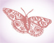 Sketch flying butterfly illustration
