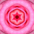 Pink Mandala Concentric Flower Center Kaleidoscope