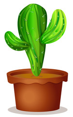 Poster - A cactus plant in a pot