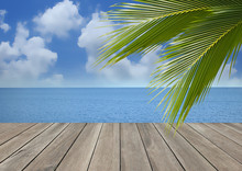 Wood Plank Over Beach With Coconut Palm Tree Leaf