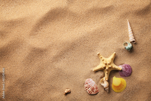Tapeta ścienna Muszle na piaszczystej plaży