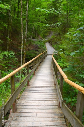 Naklejka na kafelki Brücke