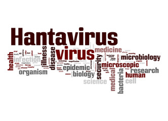 Hantavirus virus word cloud