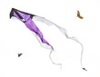 Stunt  kite