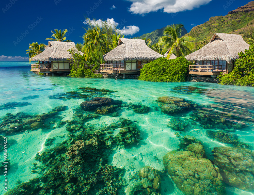 Beautiful above and underwater landscape of a tropical resort - obrazy, fototapety, plakaty 