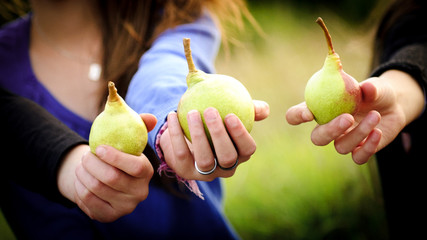 3 siblings holding pears in their hands, close up.