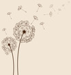 Dandelions background vector