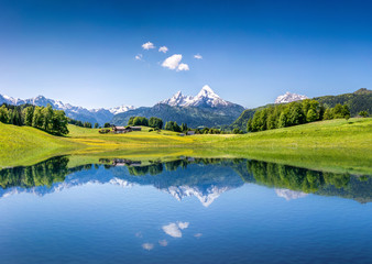 idyllic summer landscape with mountain lake and alps