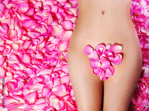 Fototapeta na wymiar Petals of Pink Roses on woman's body. Concept of Waxing. Bikini