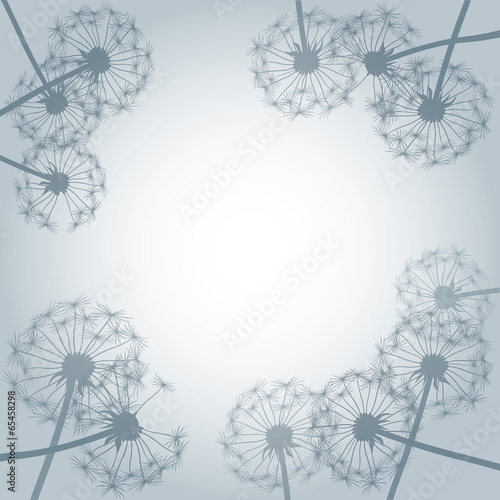 Naklejka na drzwi vector dandelion 6