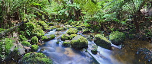 Plakat na papierze fotorealistycznym Panorama columba creek