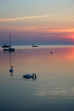 Fototapeta Morze - Wschód słońca z łabędziami i łódkami
