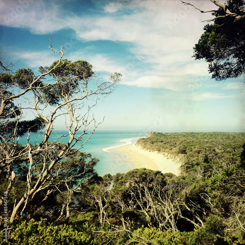 Plakat na papierze fotorealistycznym Widok na plażę w rezerwie portsea, australia