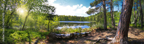 Fototapeta na wymiar Leśna panorama nad brzegiem jeziora