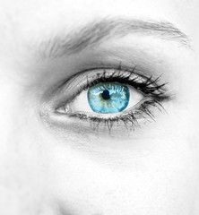 Beautiful blue woman eye