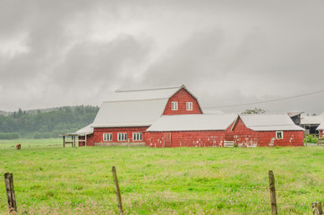 Wall Mural - Red Barn During a Heavy Rainstorm