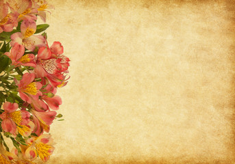 Wall Mural - Old paper background with alstroemeria.