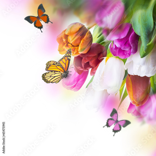 Plakat na papierze fotorealistycznym Czerwone tulipany z zieloną trawą i motyl.
