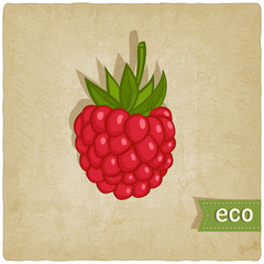 Poster - raspberries eco background