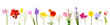 Leinwanddruck Bild - Fresh spring flowers isolated on white