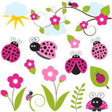 Pink Ladybug Set