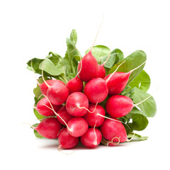 Wall Mural - radish