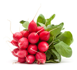 Wall Mural - radish