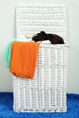 Wall Mural - Full laundry basket  on color rug on gray wall background